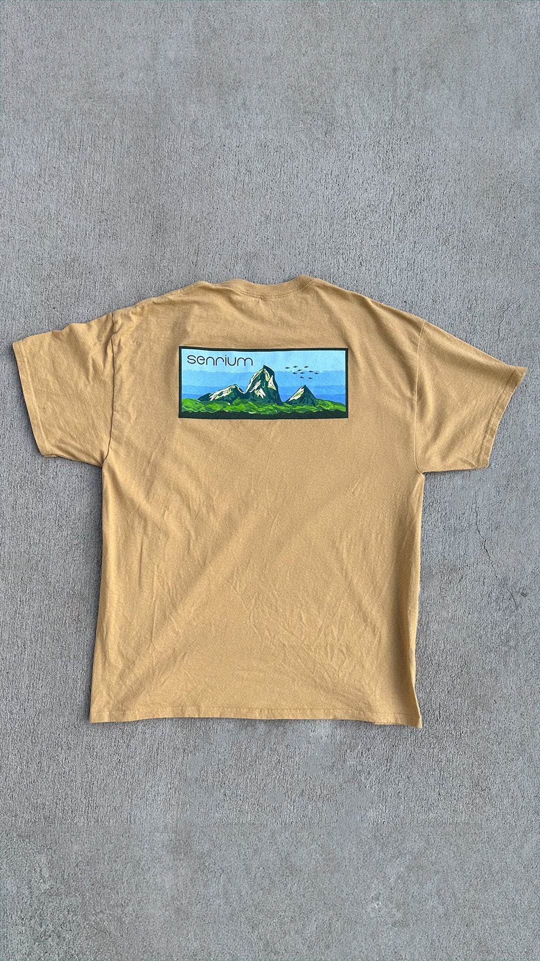 Aquascape T-Shirt - Iwagumi