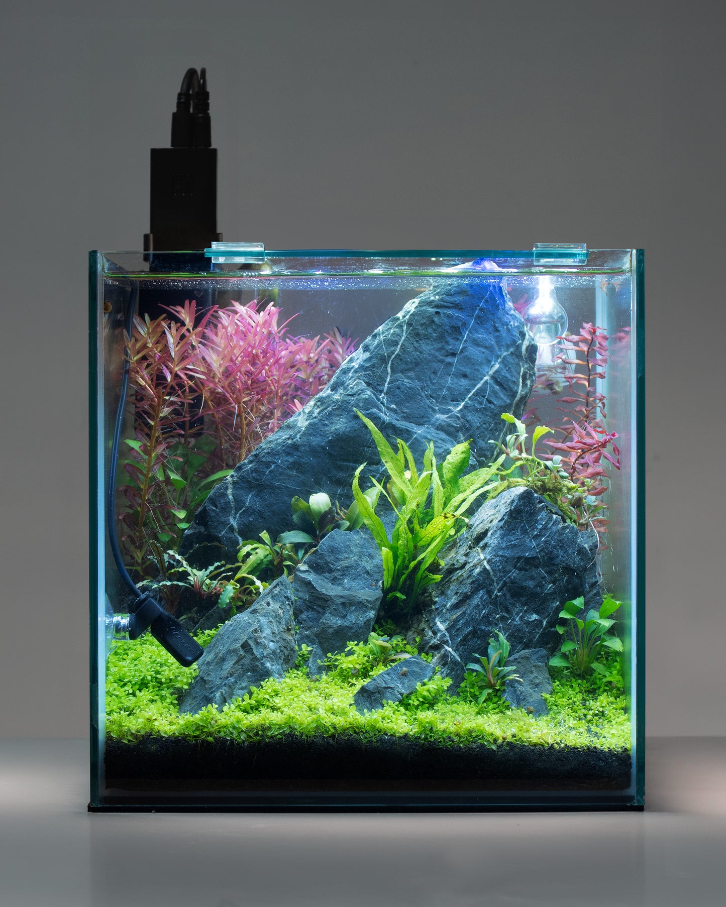H1 Aquarium Monitor