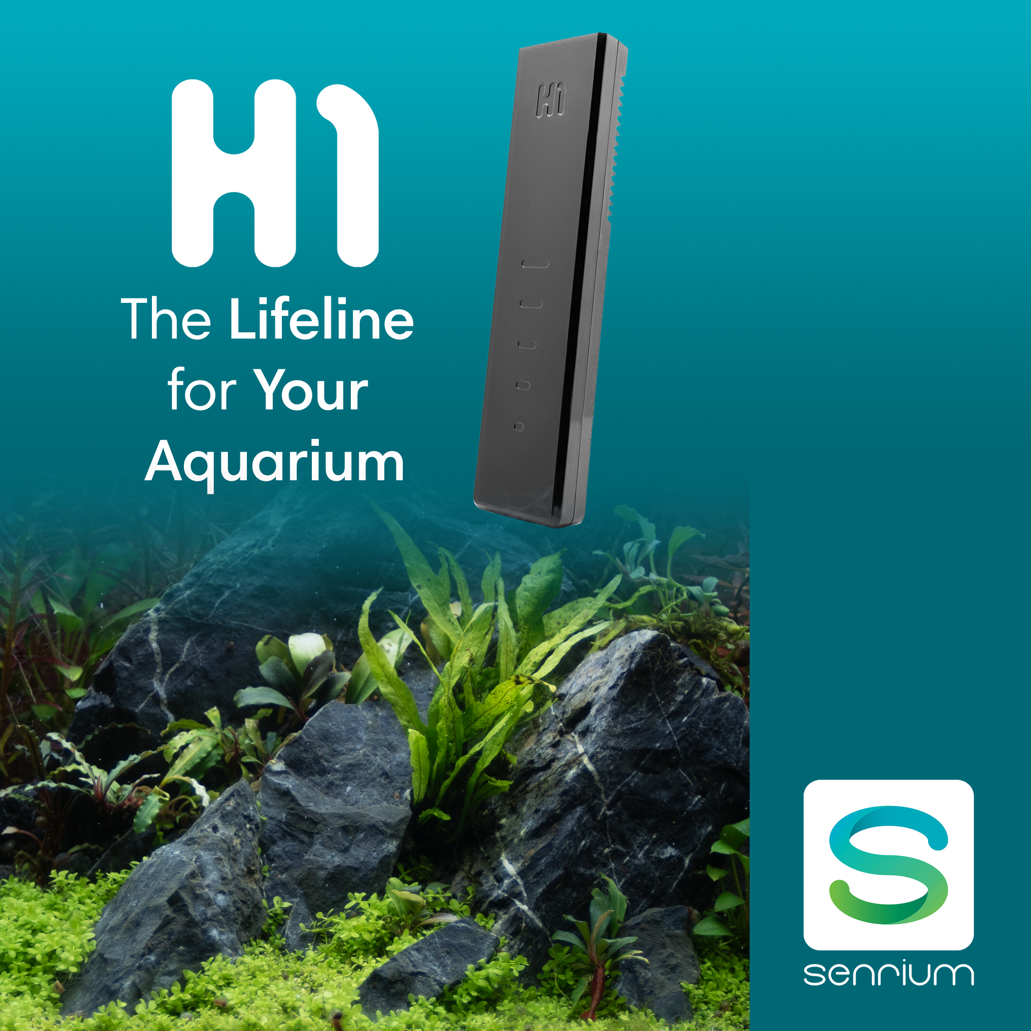 Senrium H1 sensor package with hang-on-back probe and flow sensor