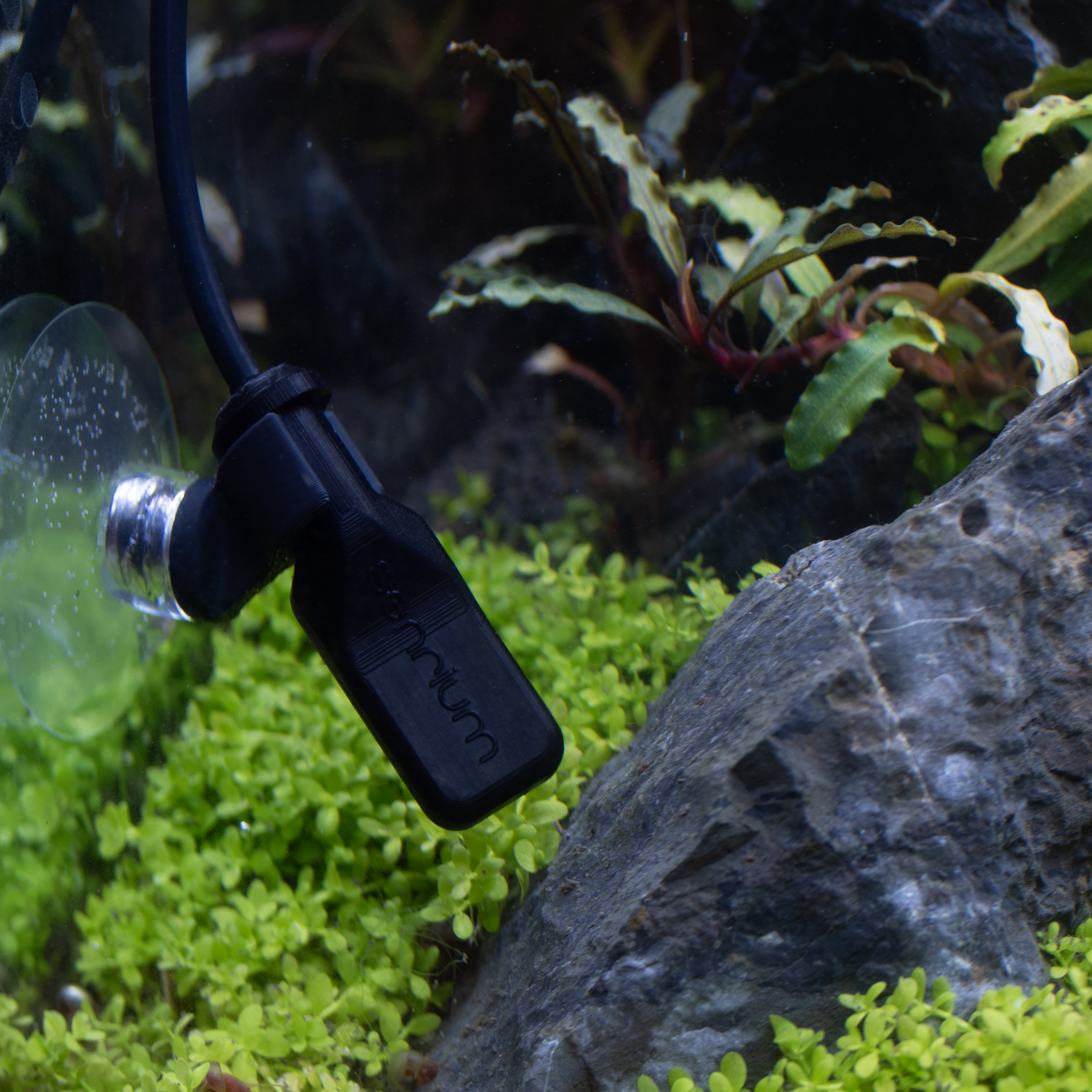 H1 flow sensor in a nano aquarium.