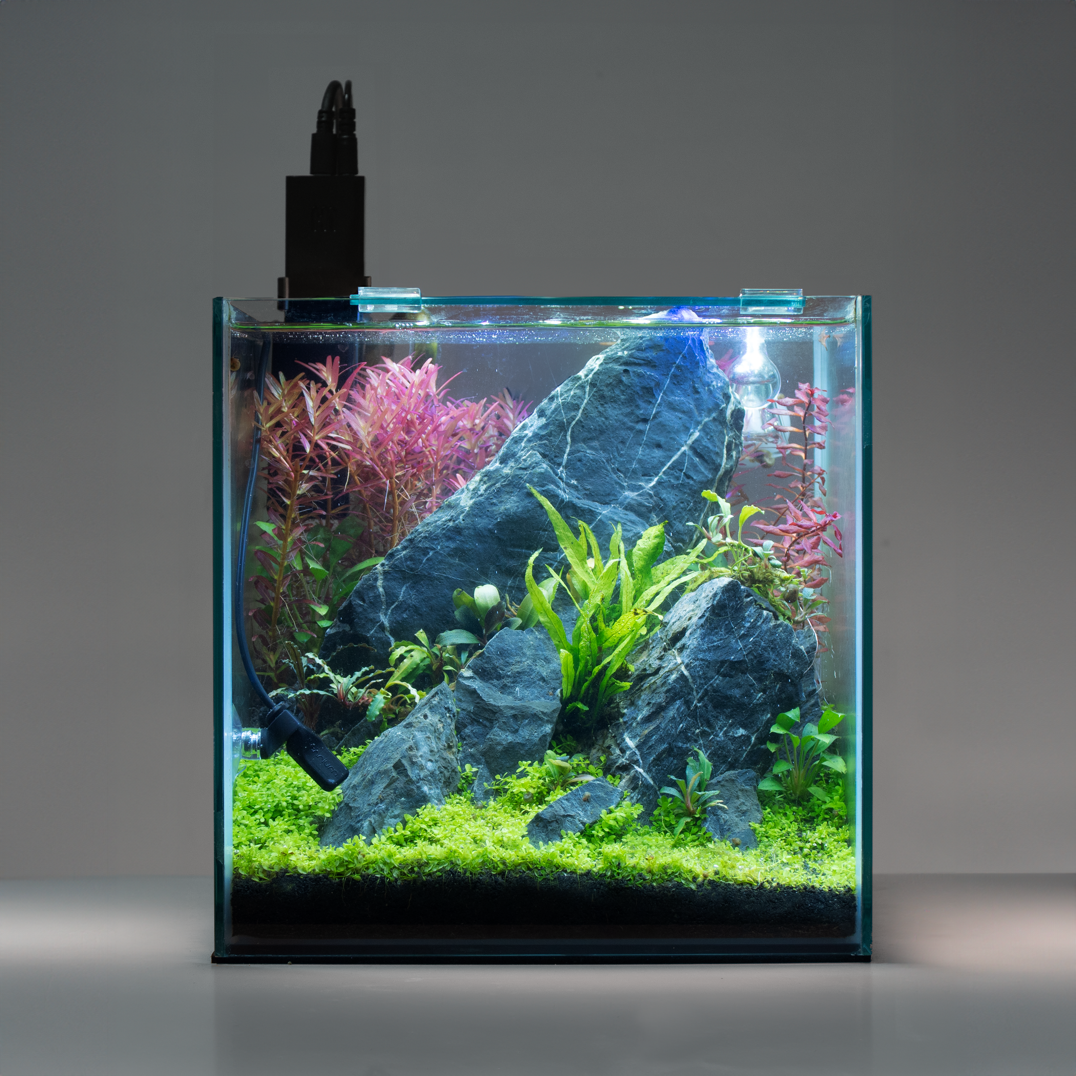 Nano aquarium with the Senrium H1 installed