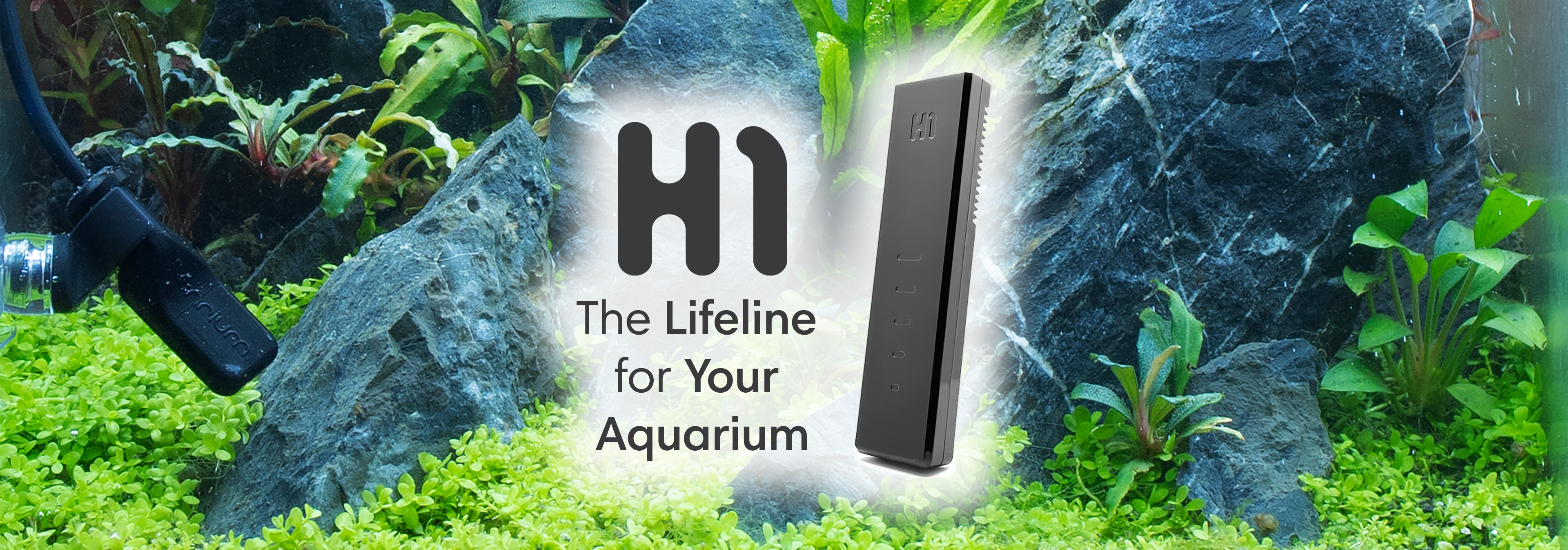 Site Banner depicting H1